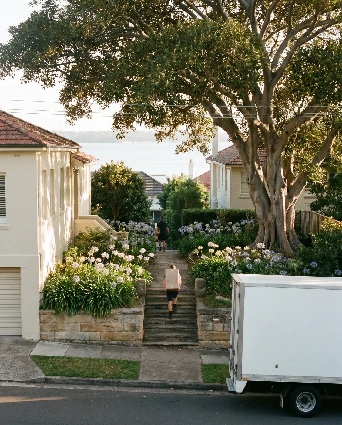 A removalist carrying a carton up long sandstone garden steps under a fig tree
